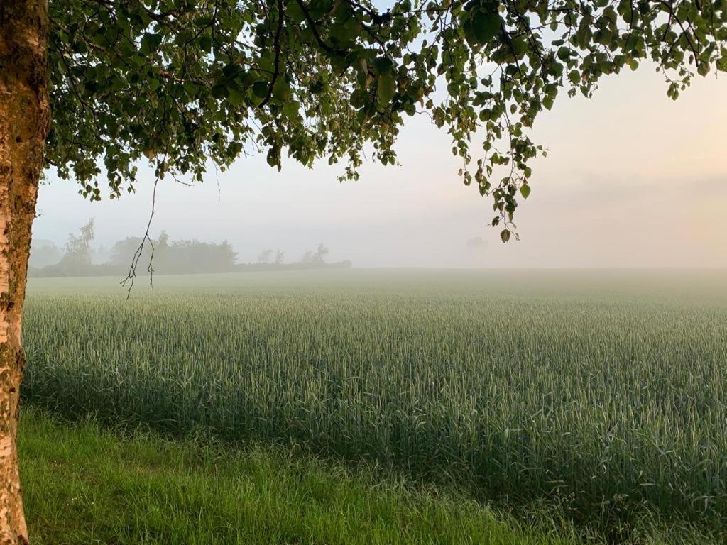 Romantic Luxus Glamping 3 Idestrup Esterno foto
